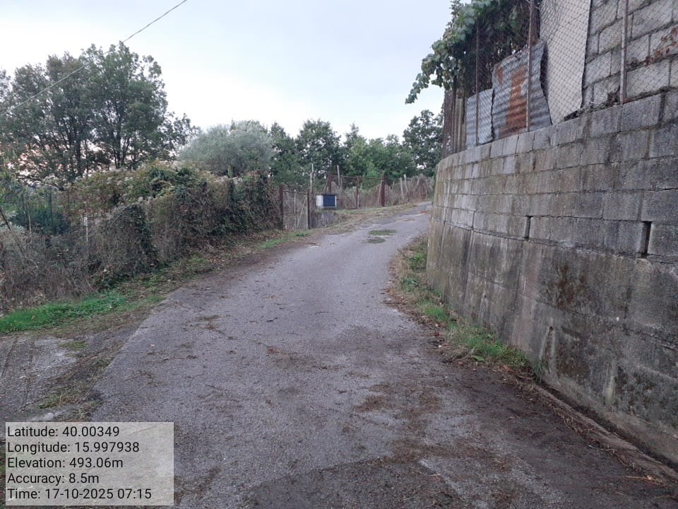 Galleria Fotografica Immagine