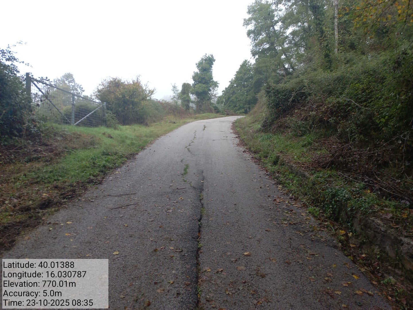 Galleria Fotografica Immagine