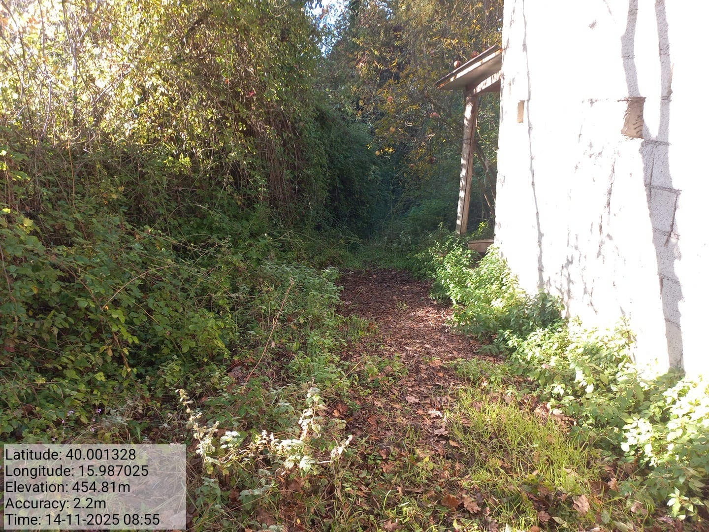 Galleria Fotografica Immagine