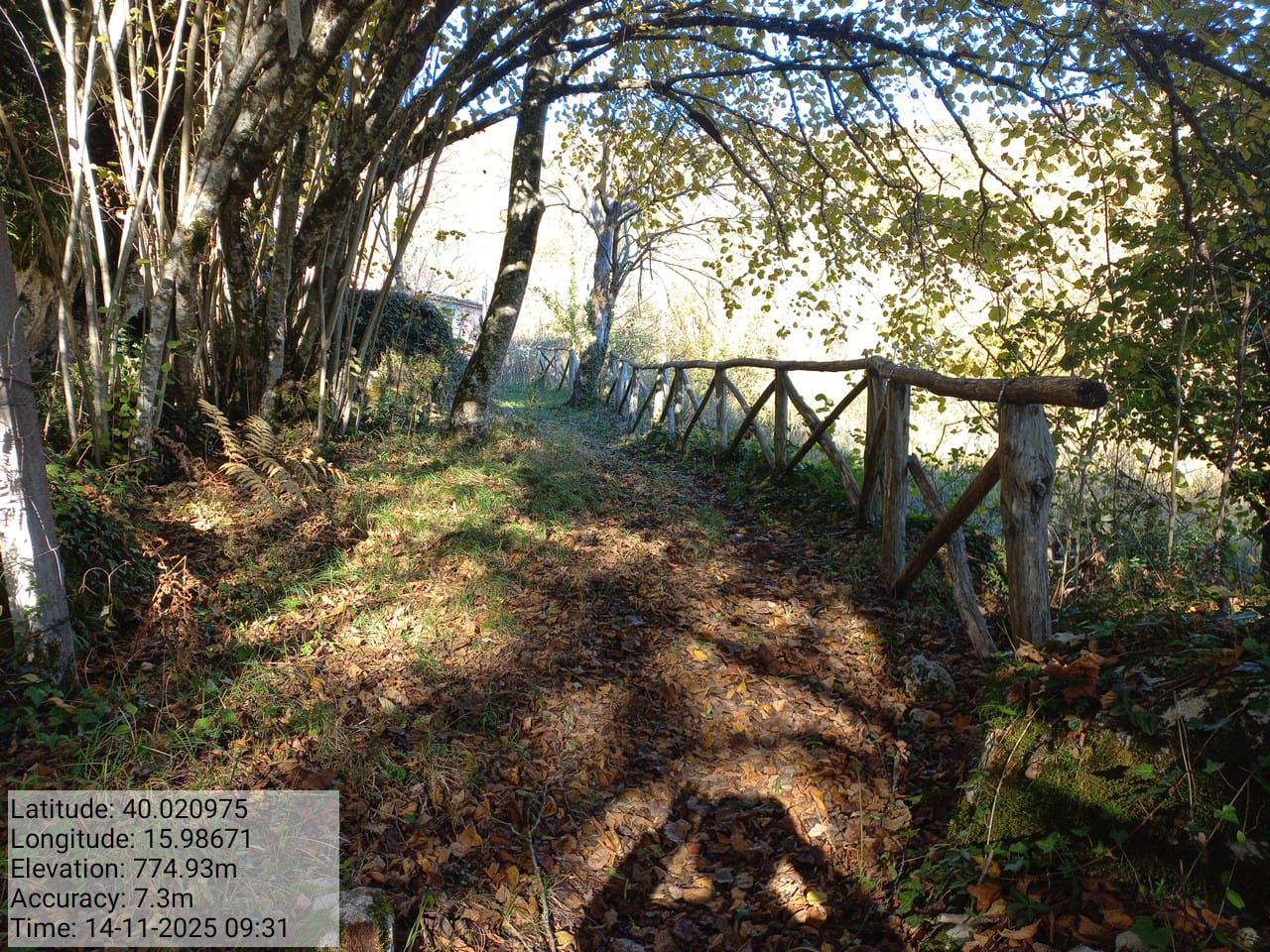 Galleria Fotografica Immagine