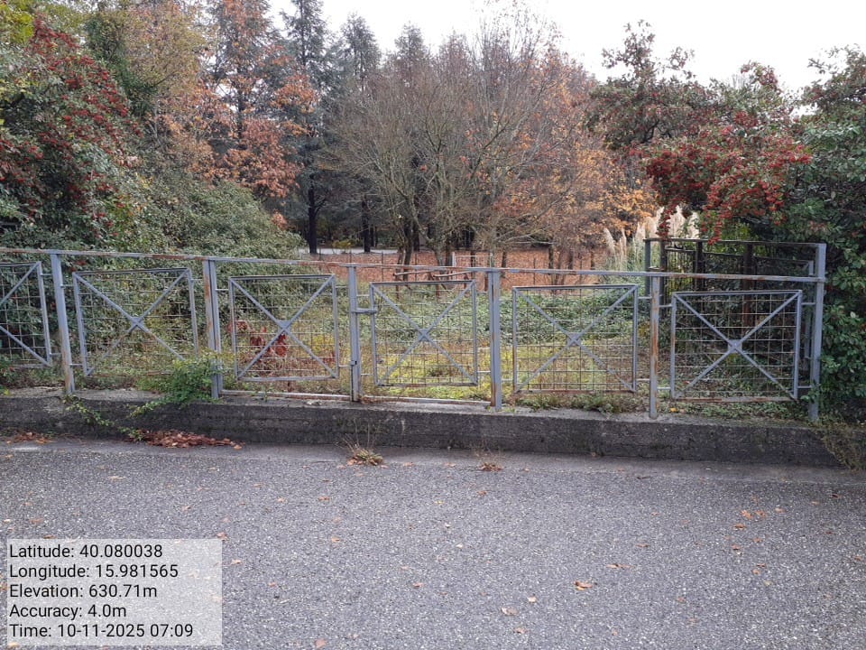 Galleria Fotografica Immagine