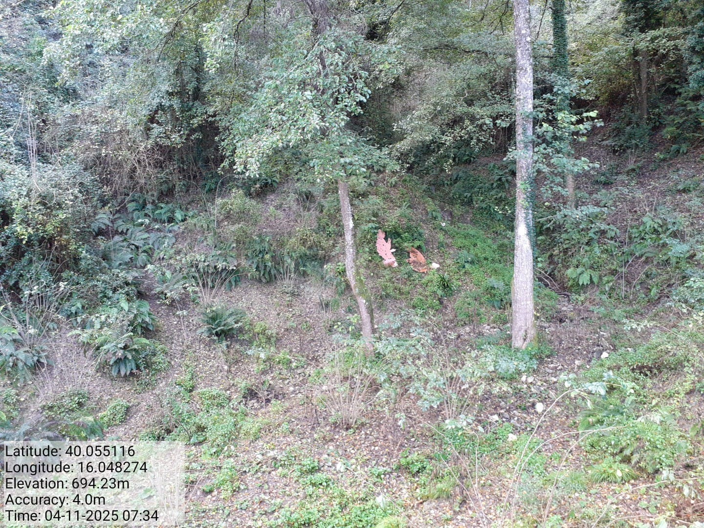 Galleria Fotografica Immagine