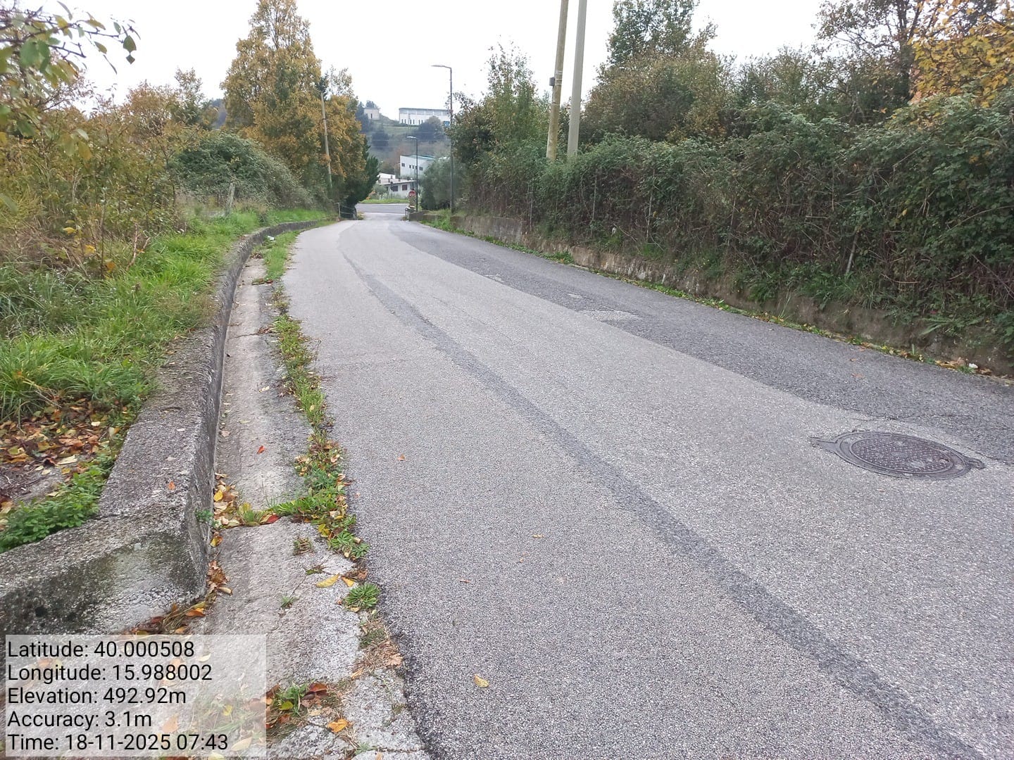 Galleria Fotografica Immagine