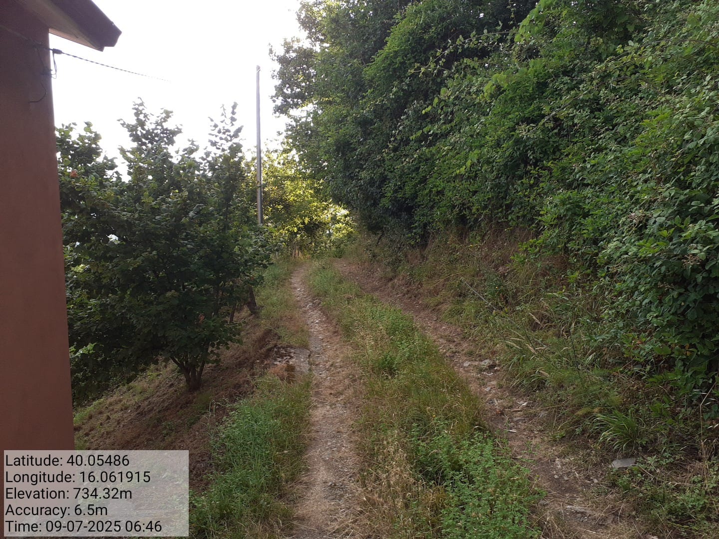 Galleria Fotografica Immagine