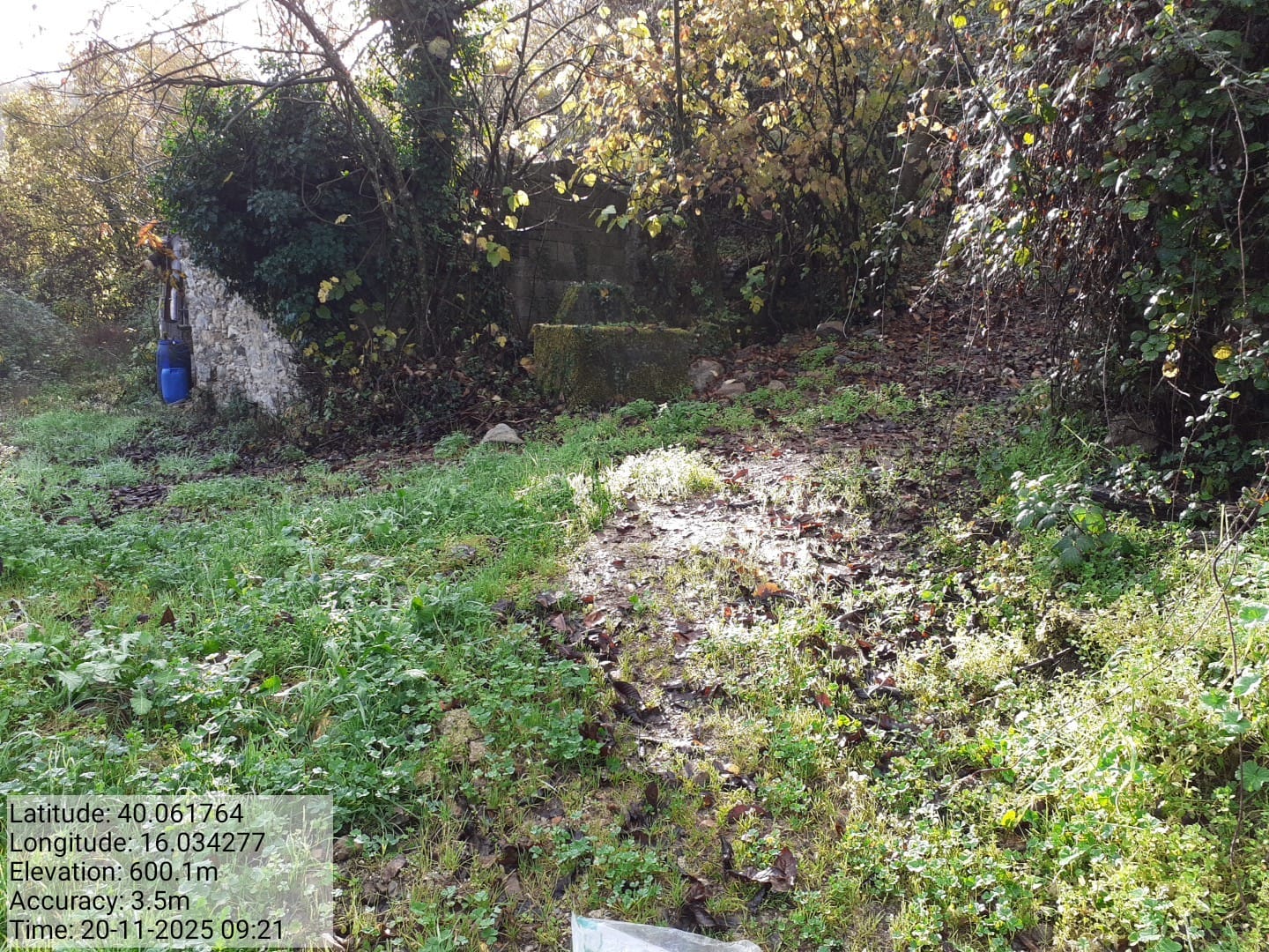 Galleria Fotografica Immagine