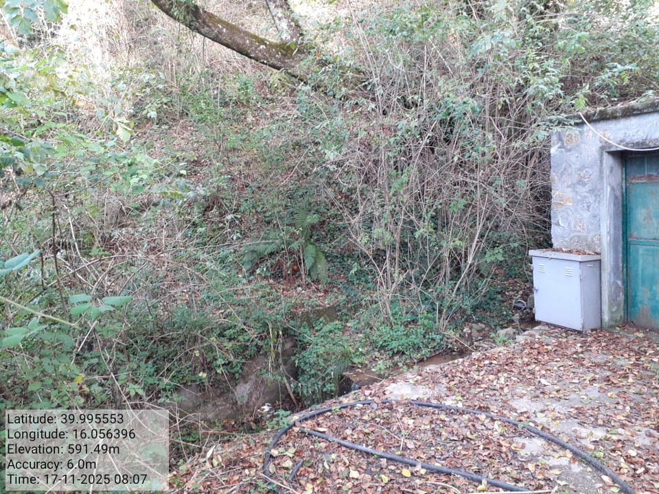 Galleria Fotografica Immagine