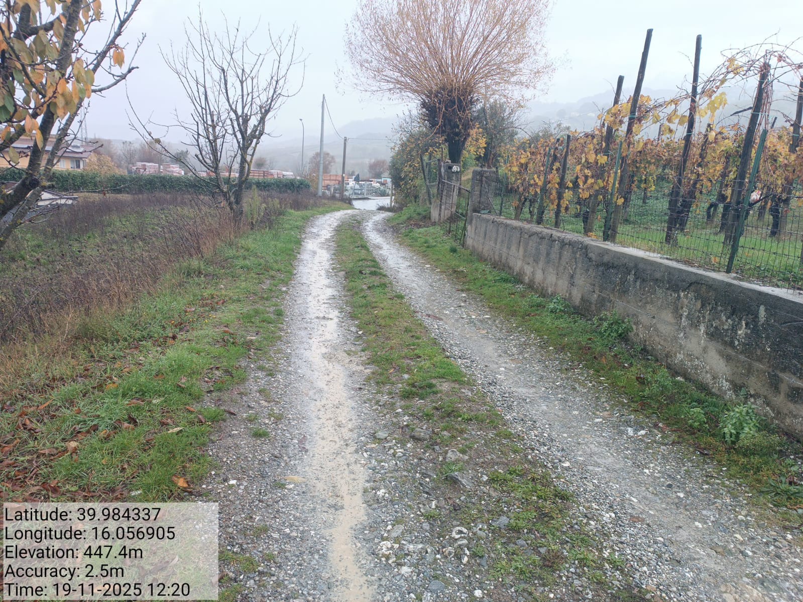 Galleria Fotografica Immagine