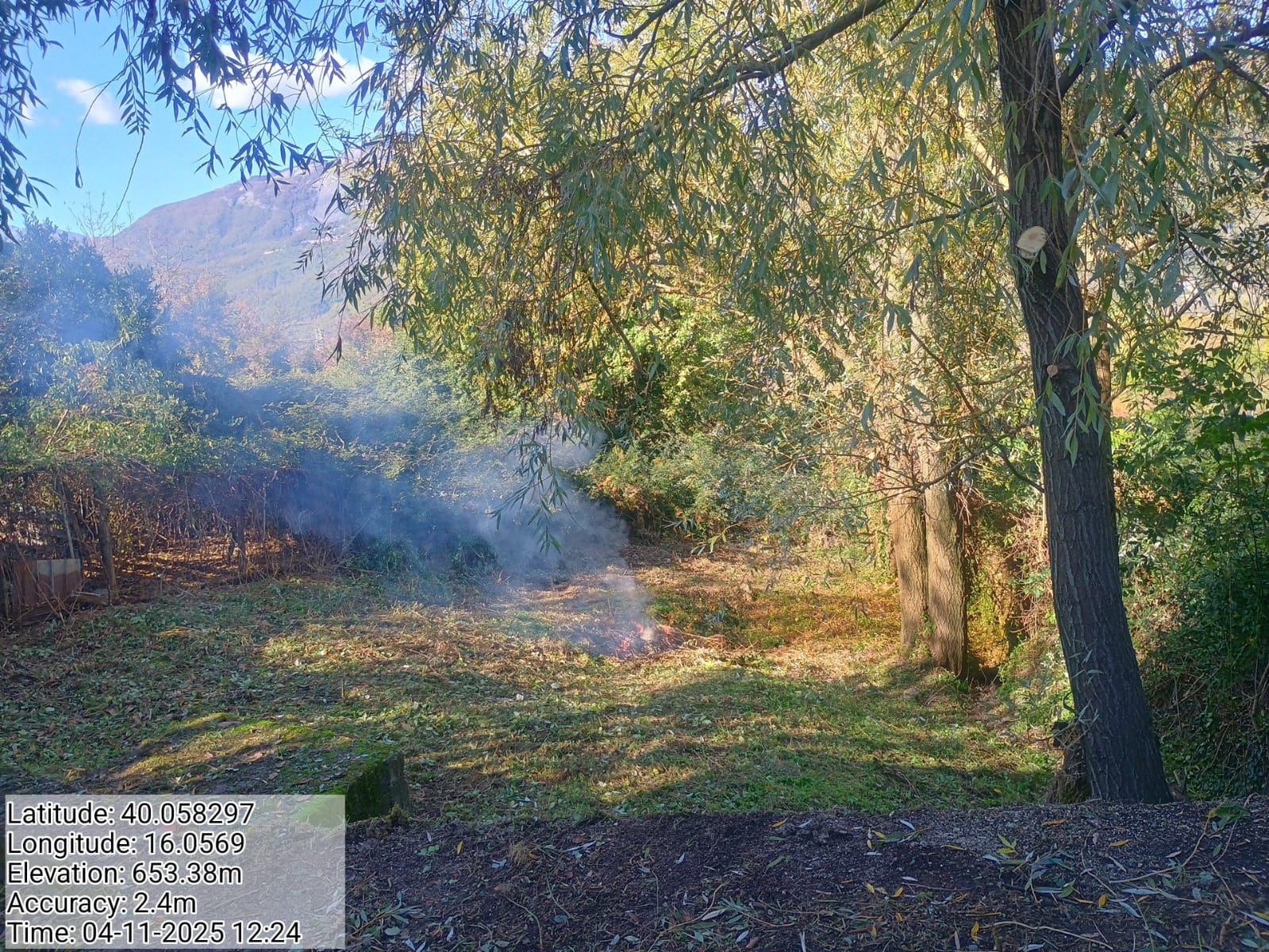 Galleria Fotografica Immagine