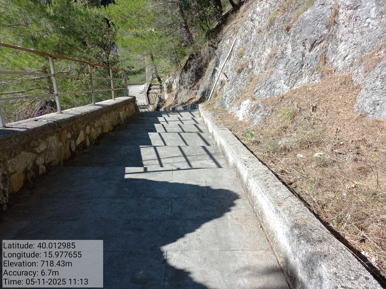 Galleria Fotografica Immagine