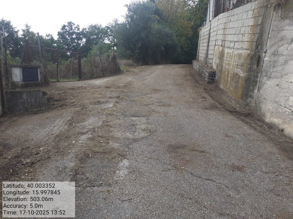 Galleria Fotografica Immagine