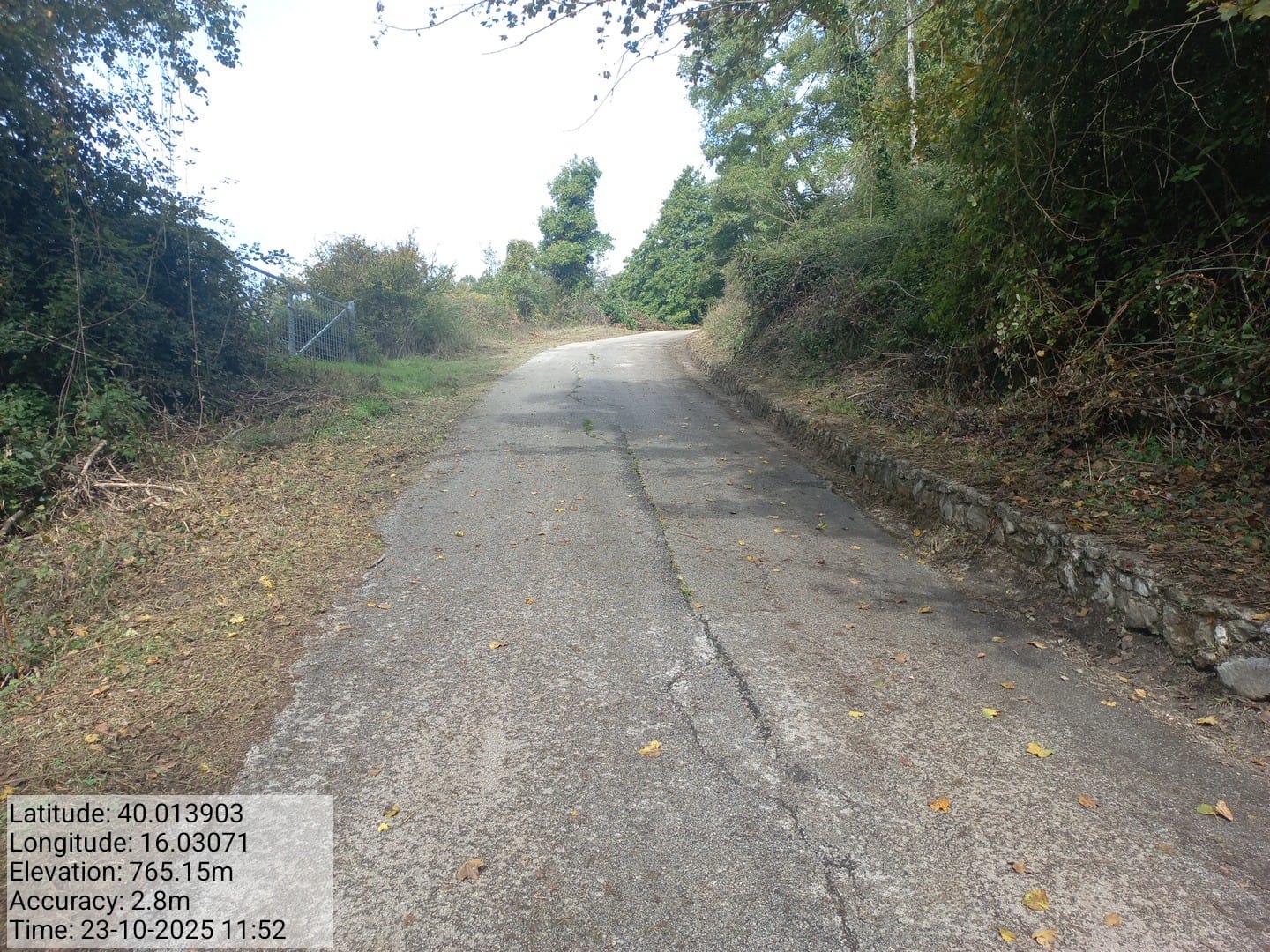 Galleria Fotografica Immagine