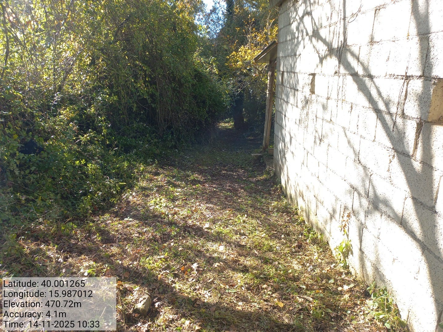 Galleria Fotografica Immagine