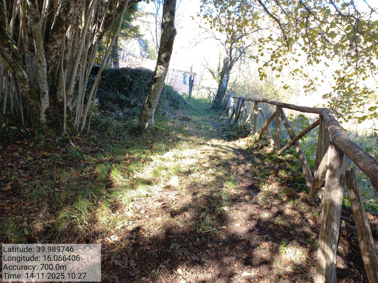 Galleria Fotografica Immagine