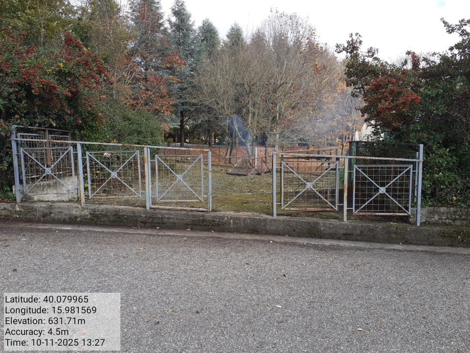 Galleria Fotografica Immagine