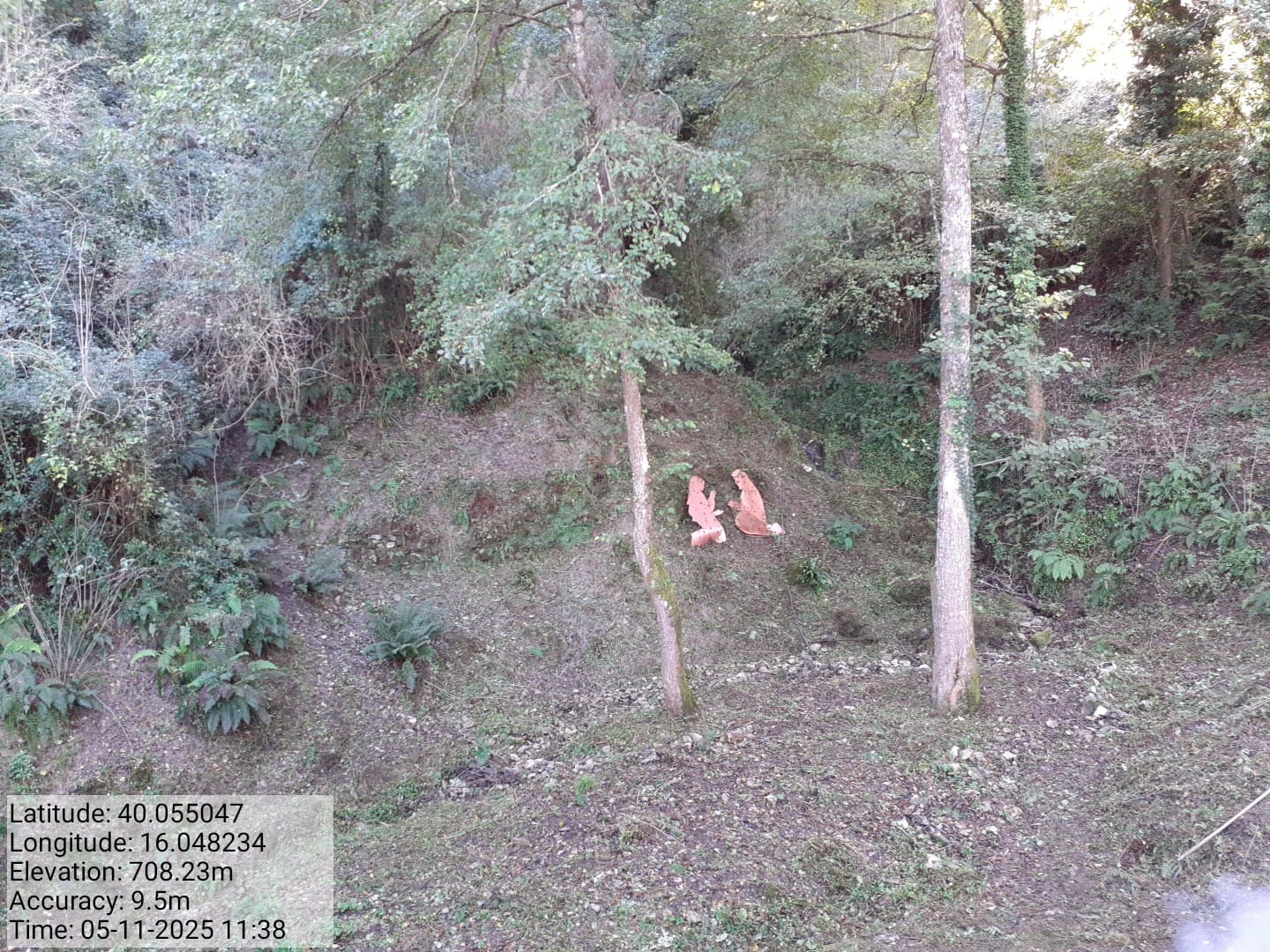 Galleria Fotografica Immagine