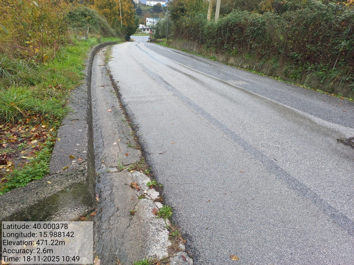 Galleria Fotografica Immagine