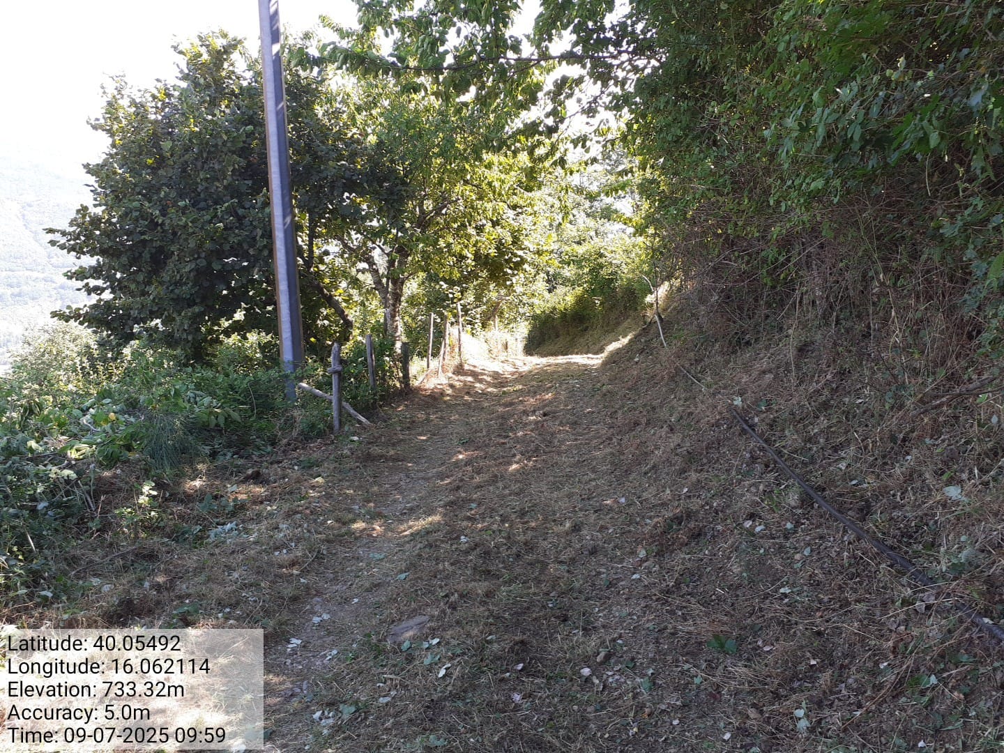 Galleria Fotografica Immagine