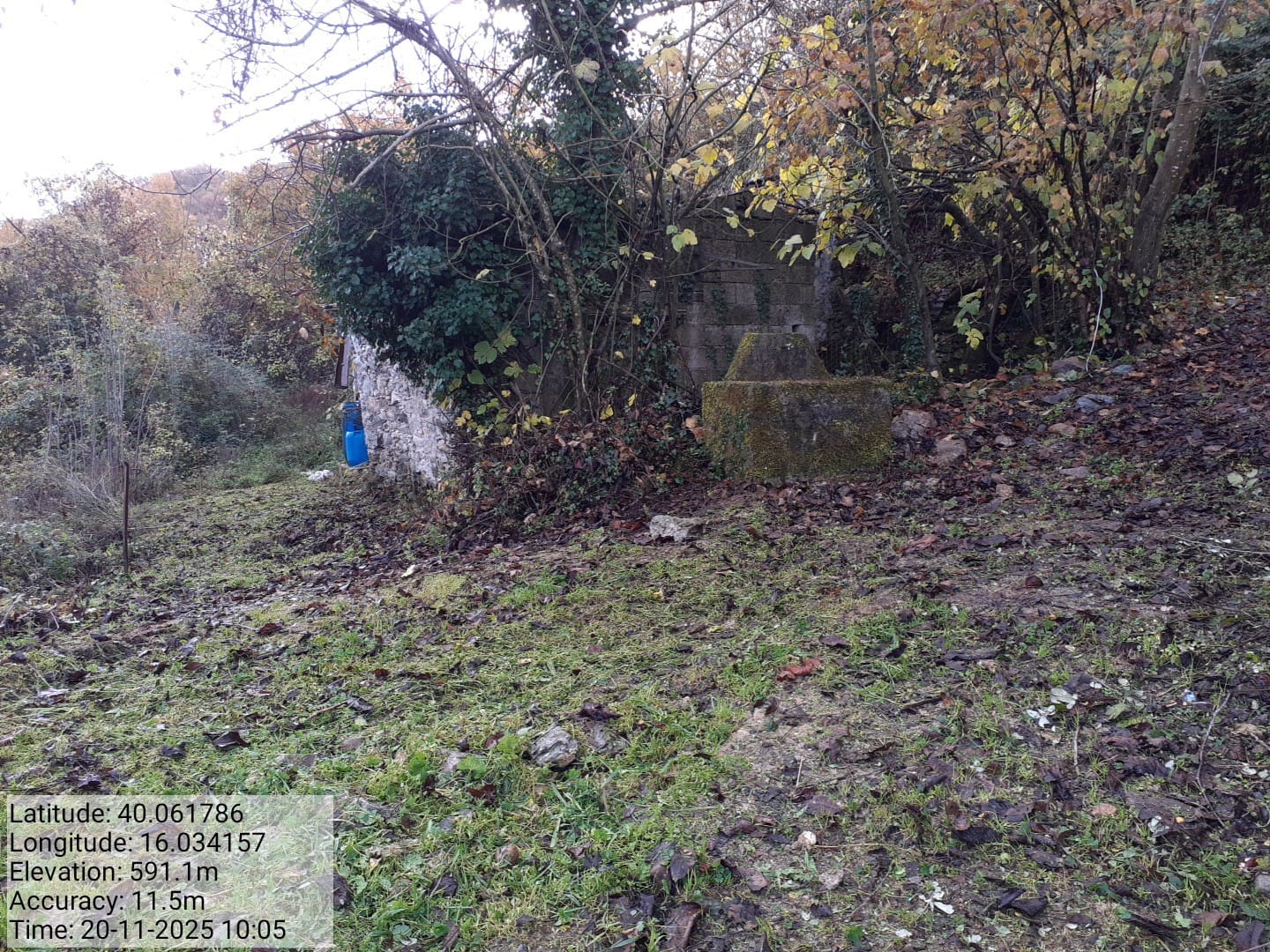 Galleria Fotografica Immagine