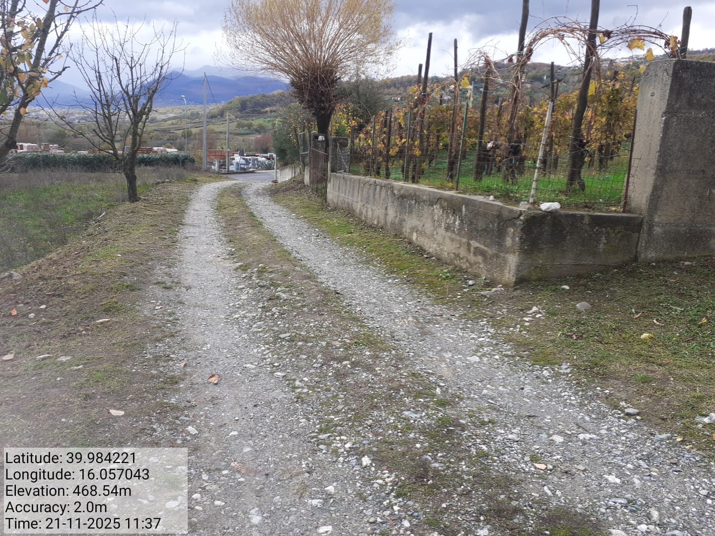 Galleria Fotografica Immagine