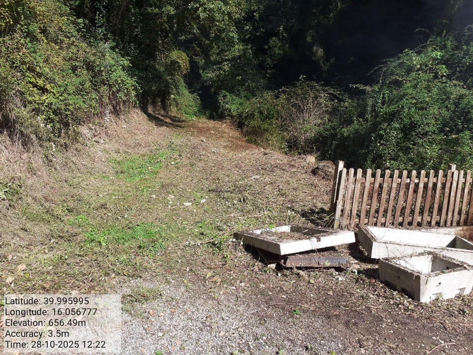 Galleria Fotografica Immagine