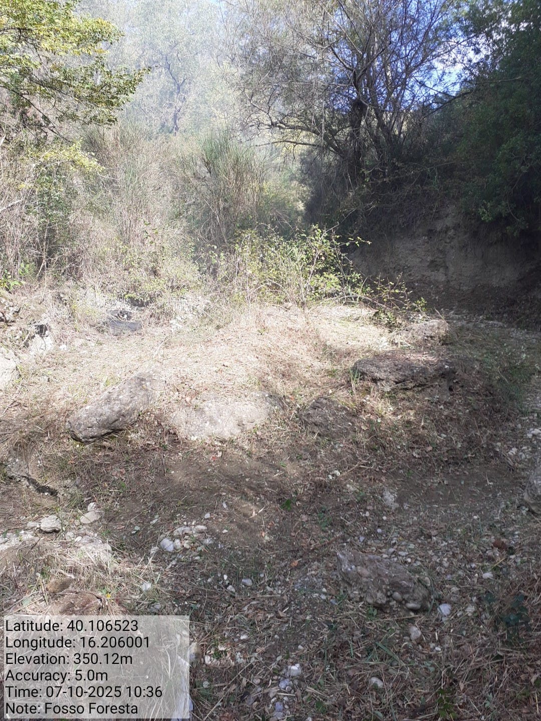 Galleria Fotografica Immagine