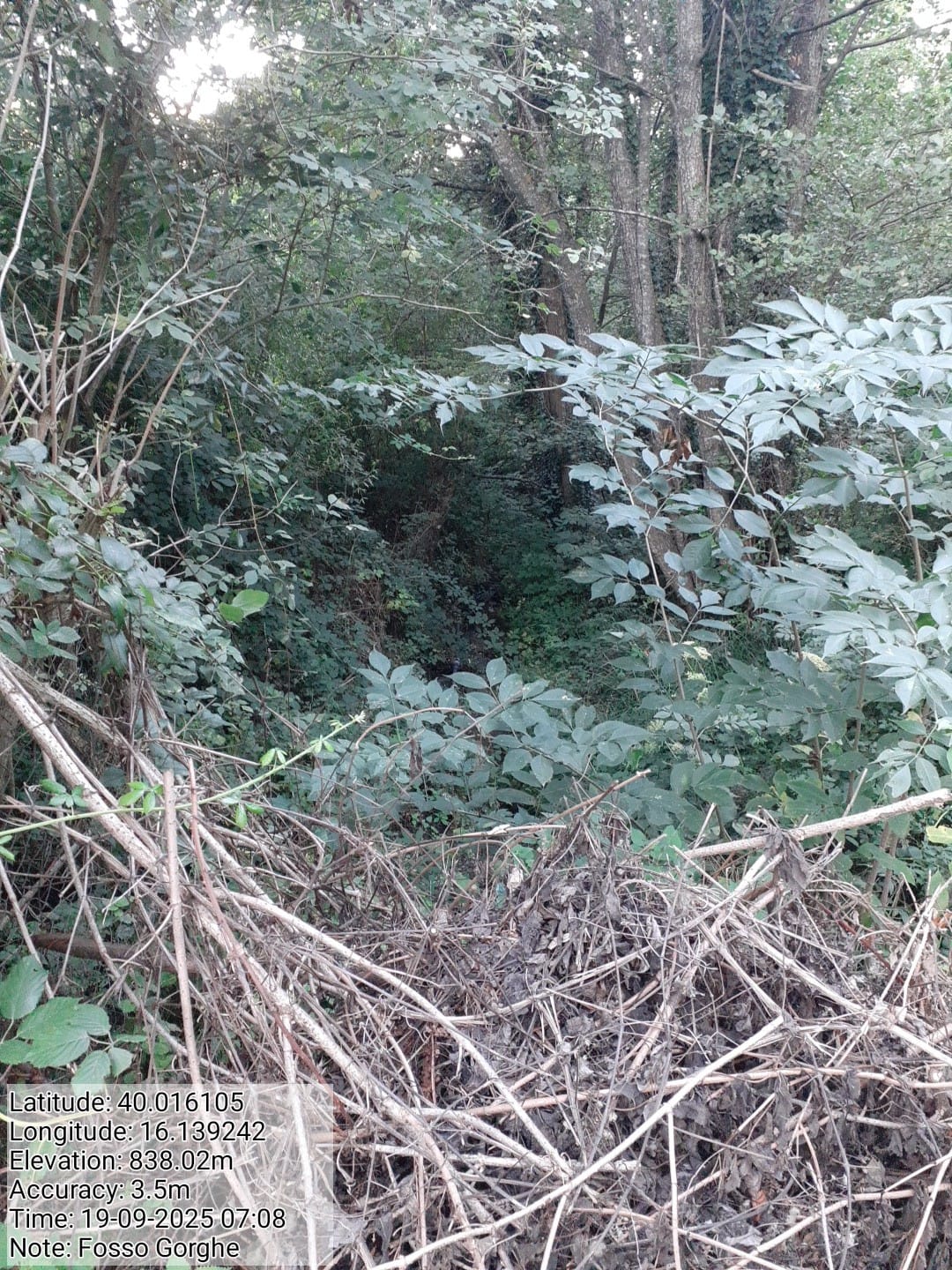 Galleria Fotografica Immagine