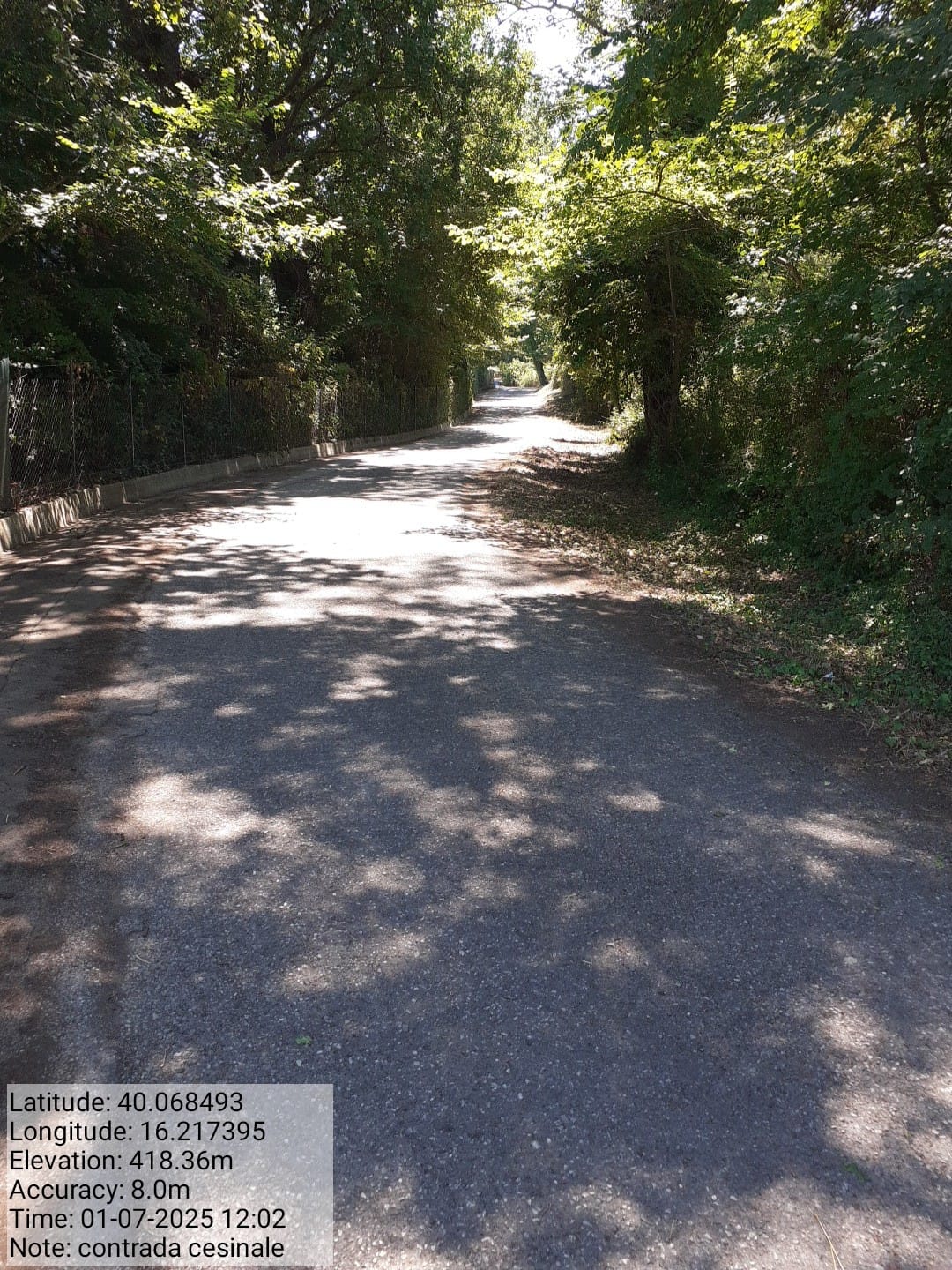 Galleria Fotografica Immagine