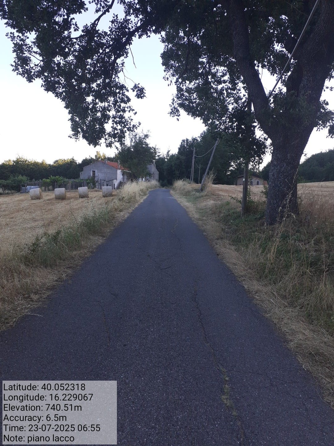 Galleria Fotografica Immagine