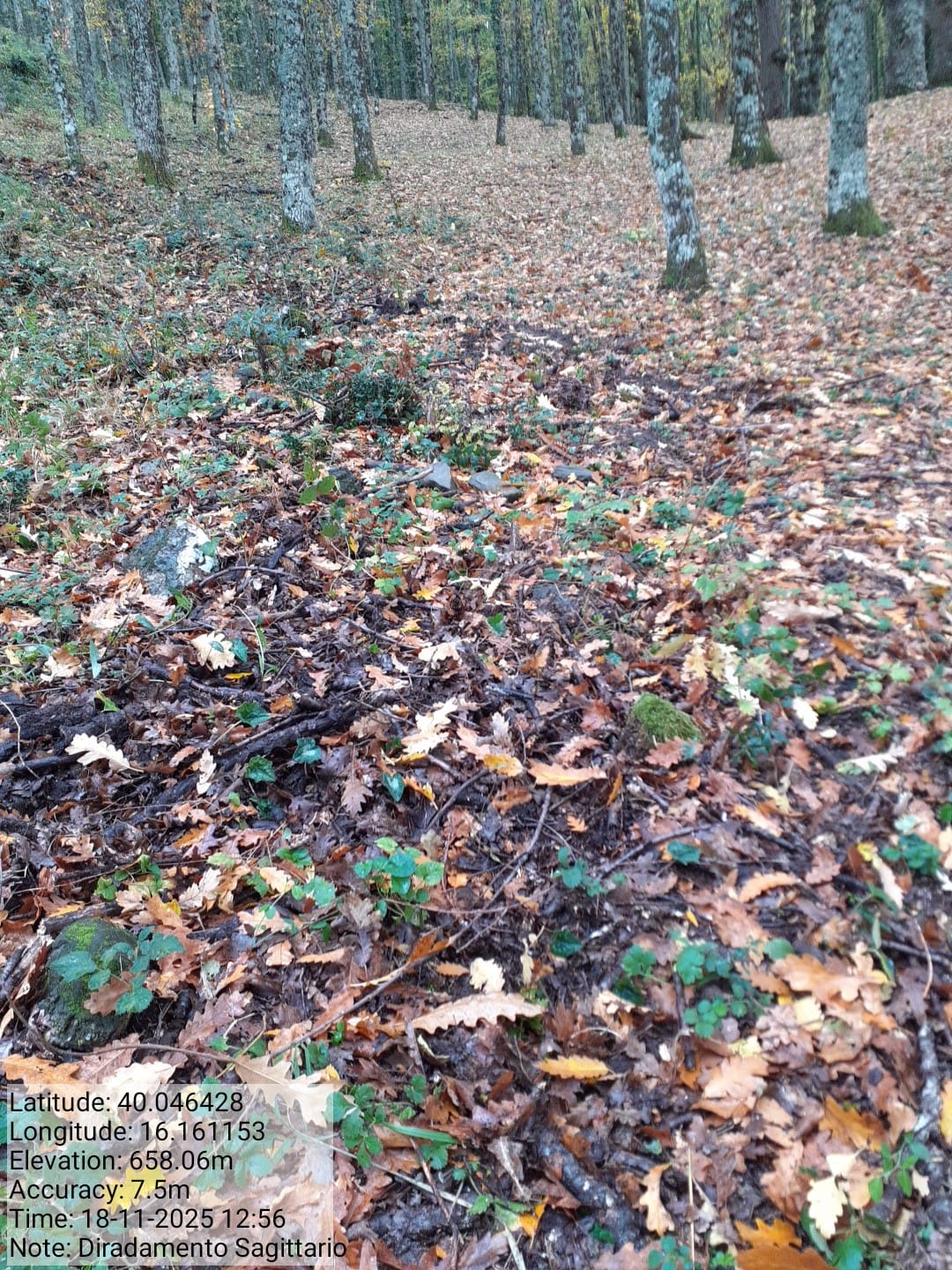 Galleria Fotografica Immagine