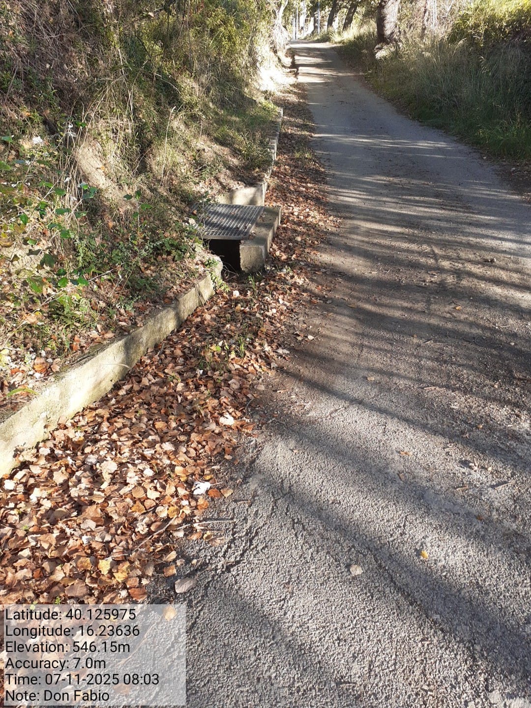 Galleria Fotografica Immagine