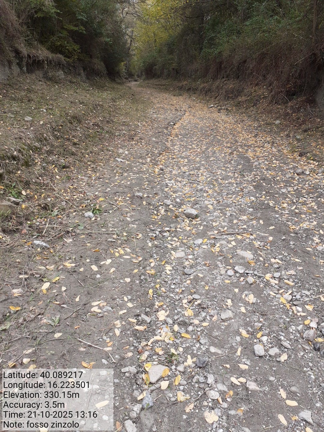 Galleria Fotografica Immagine