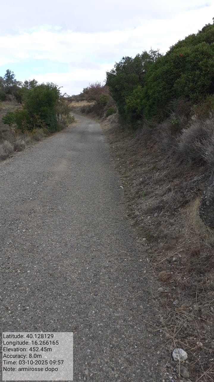 Galleria Fotografica Immagine