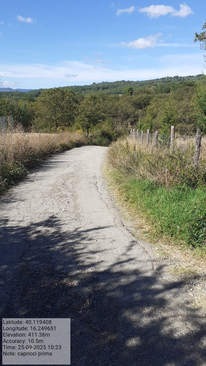 Galleria Fotografica Immagine