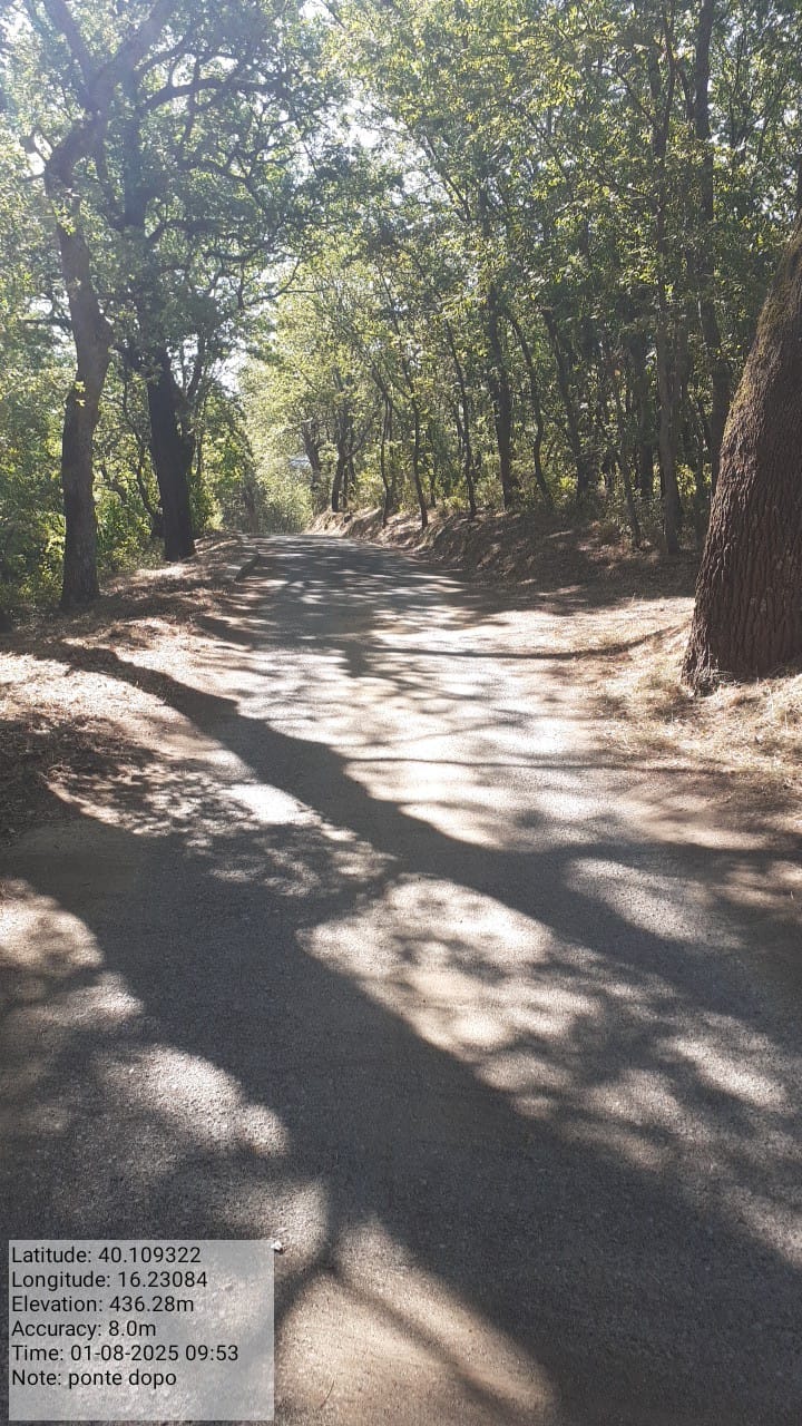 Galleria Fotografica Immagine