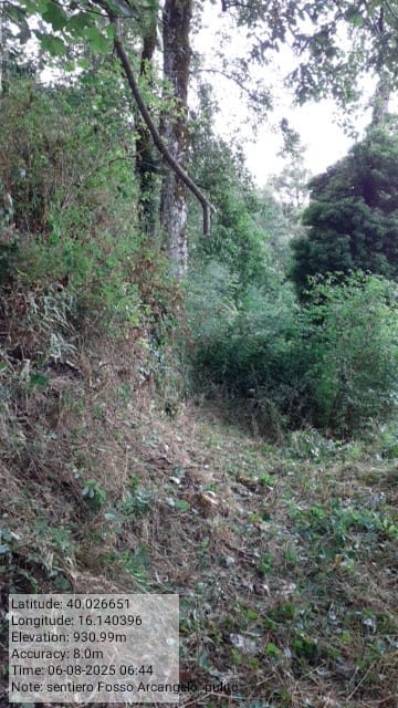 Galleria Fotografica Immagine