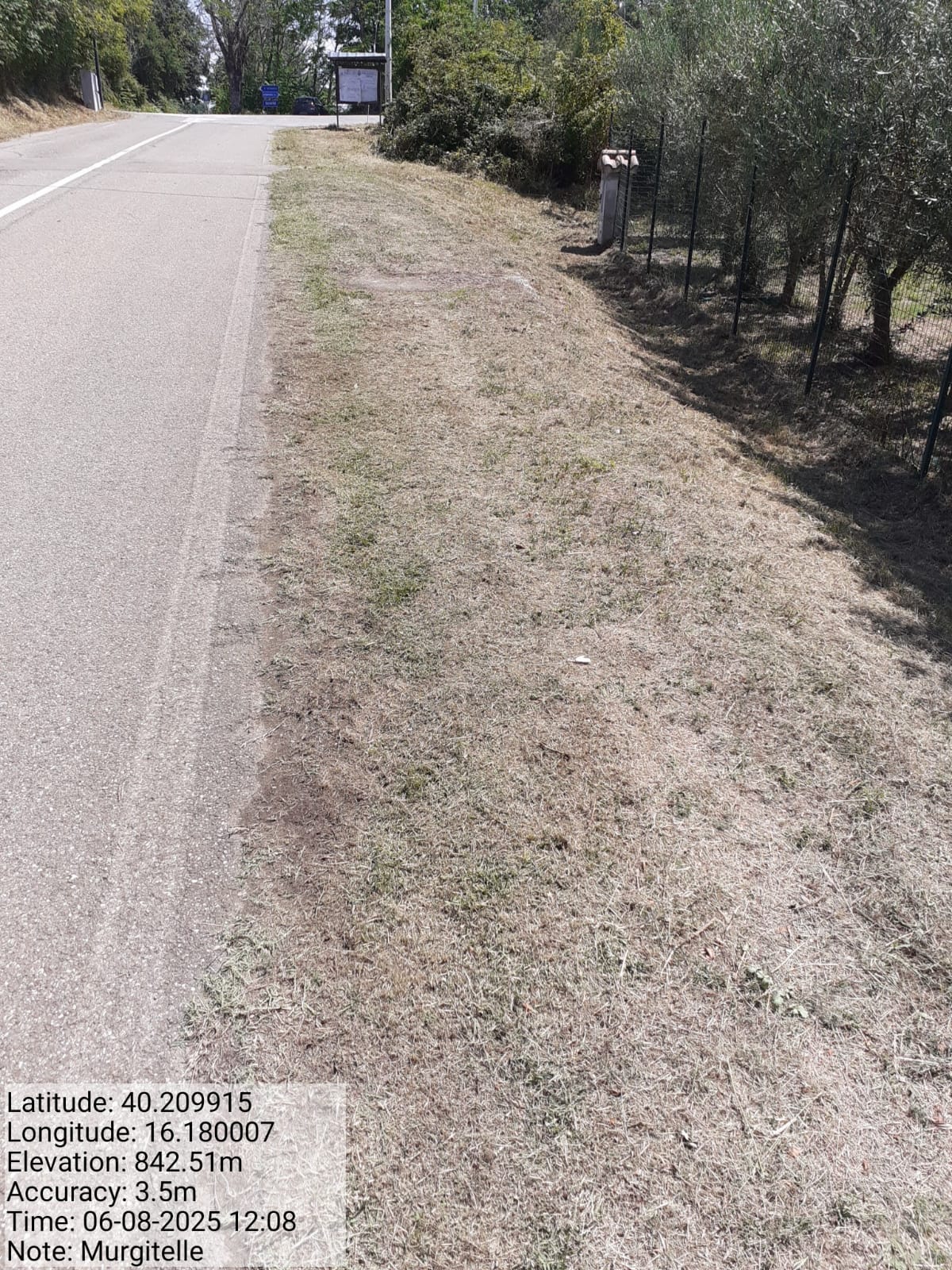 Galleria Fotografica Immagine