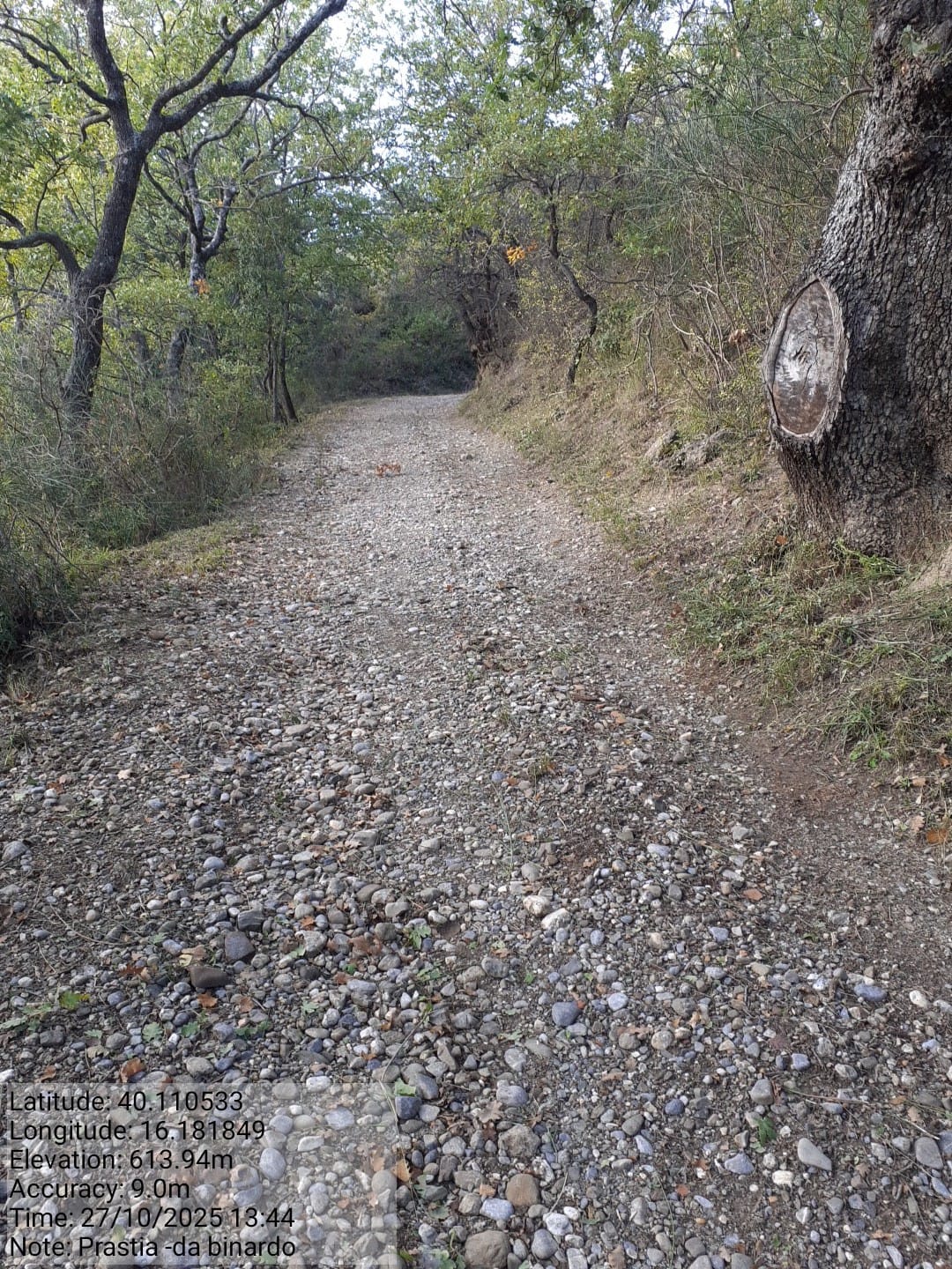 Galleria Fotografica Immagine