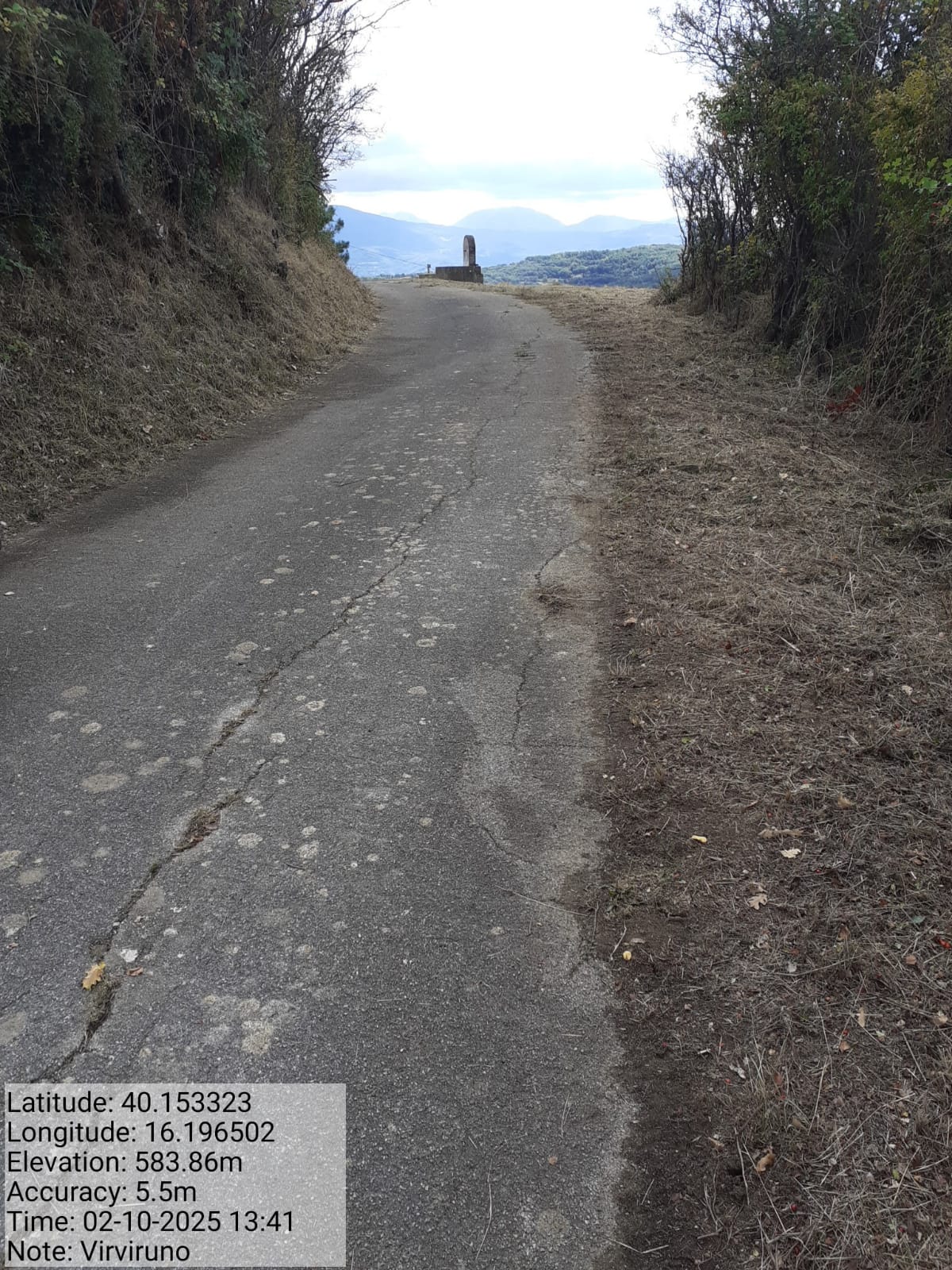 Galleria Fotografica Immagine