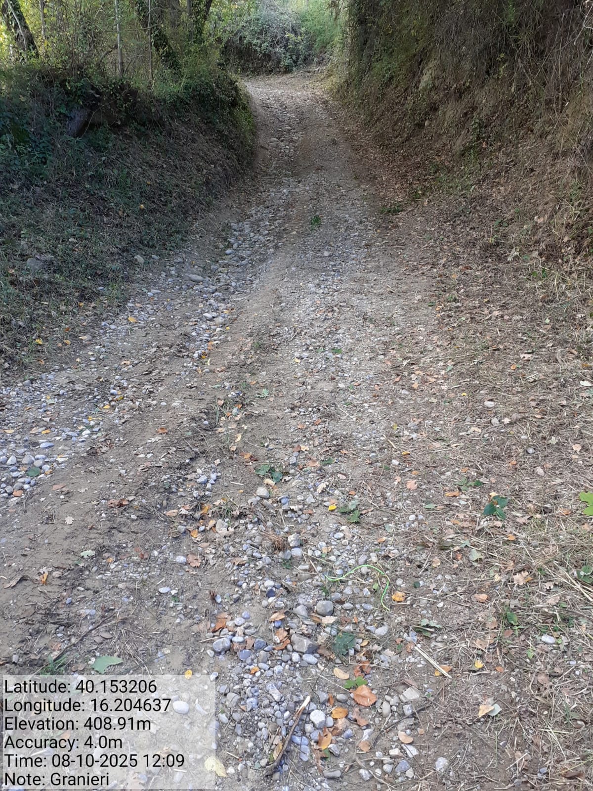 Galleria Fotografica Immagine