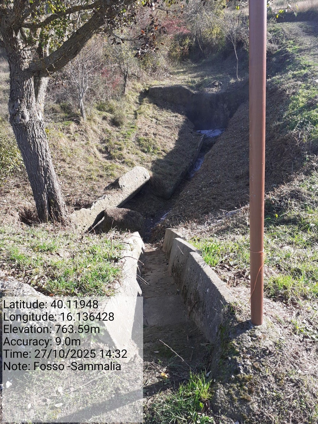 Galleria Fotografica Immagine