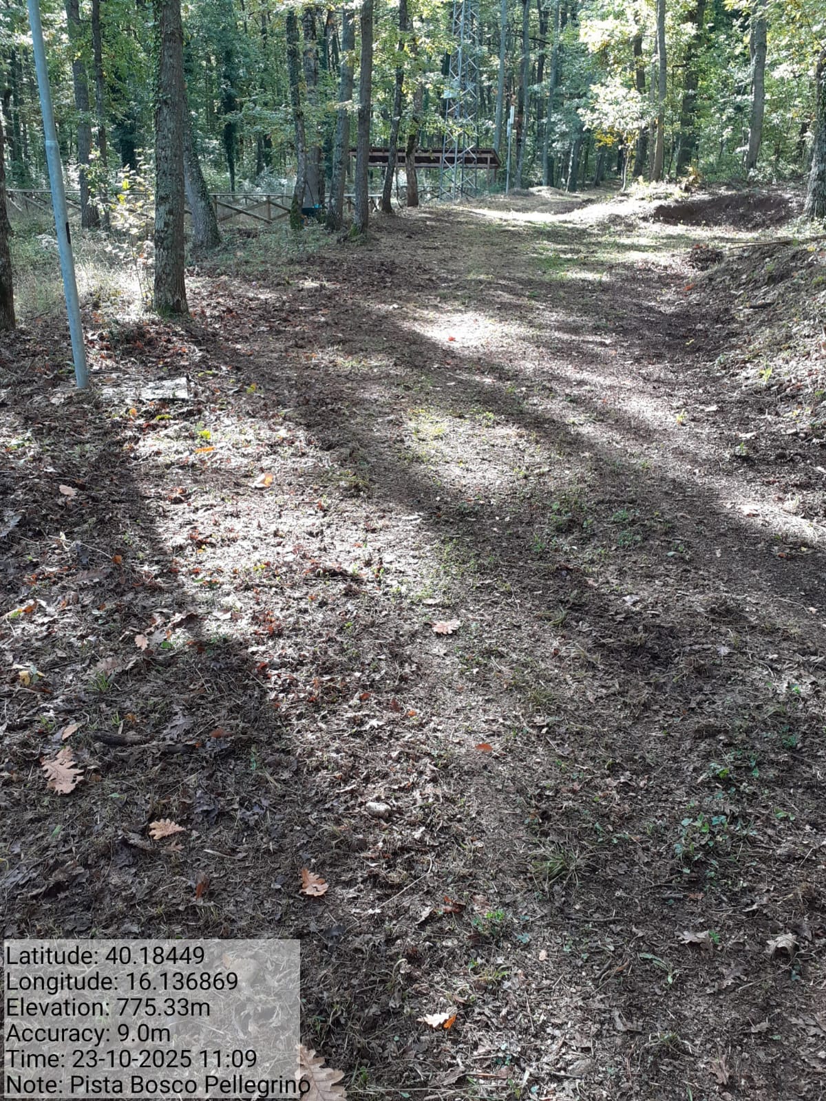 Galleria Fotografica Immagine