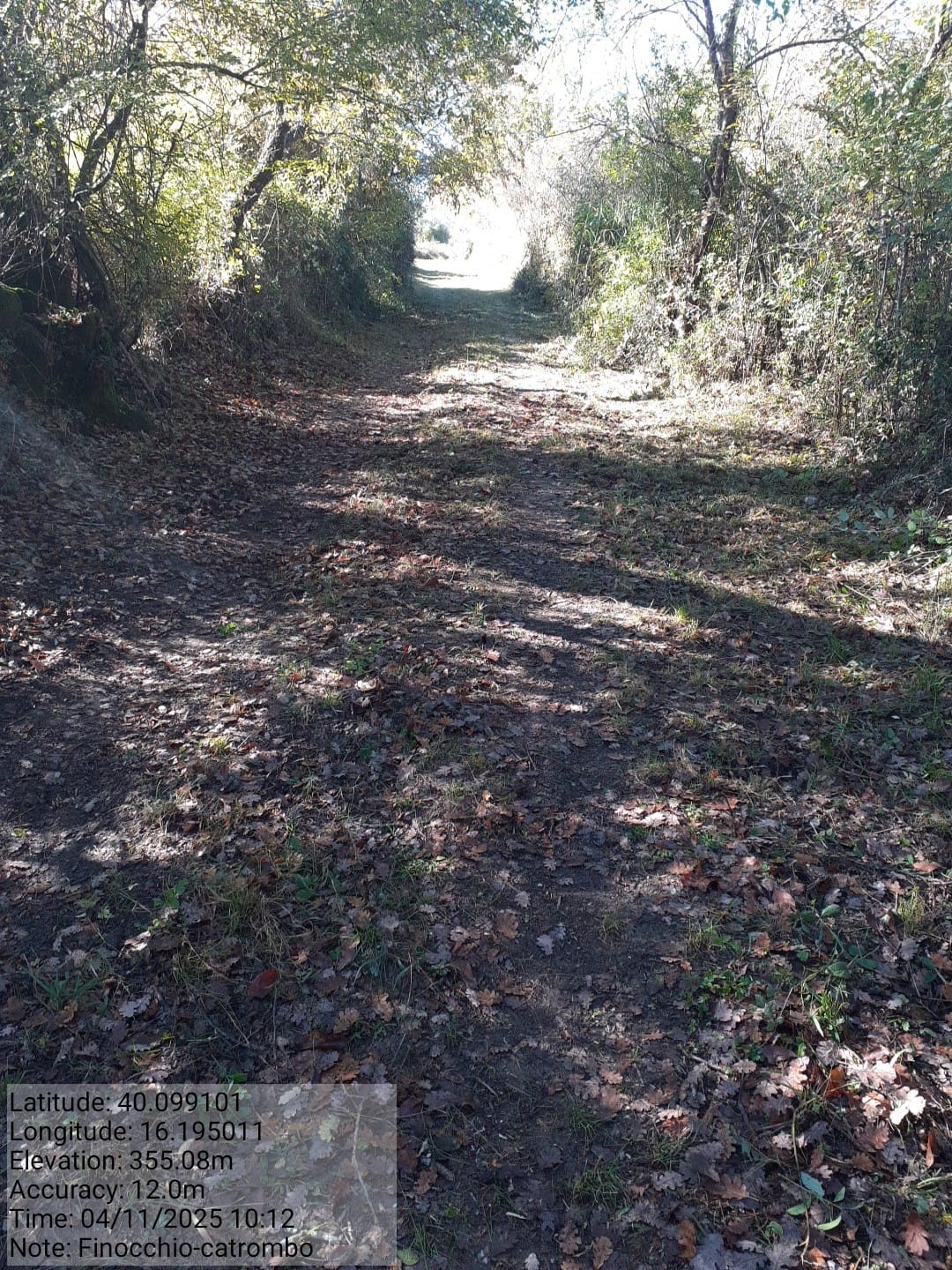 Galleria Fotografica Immagine