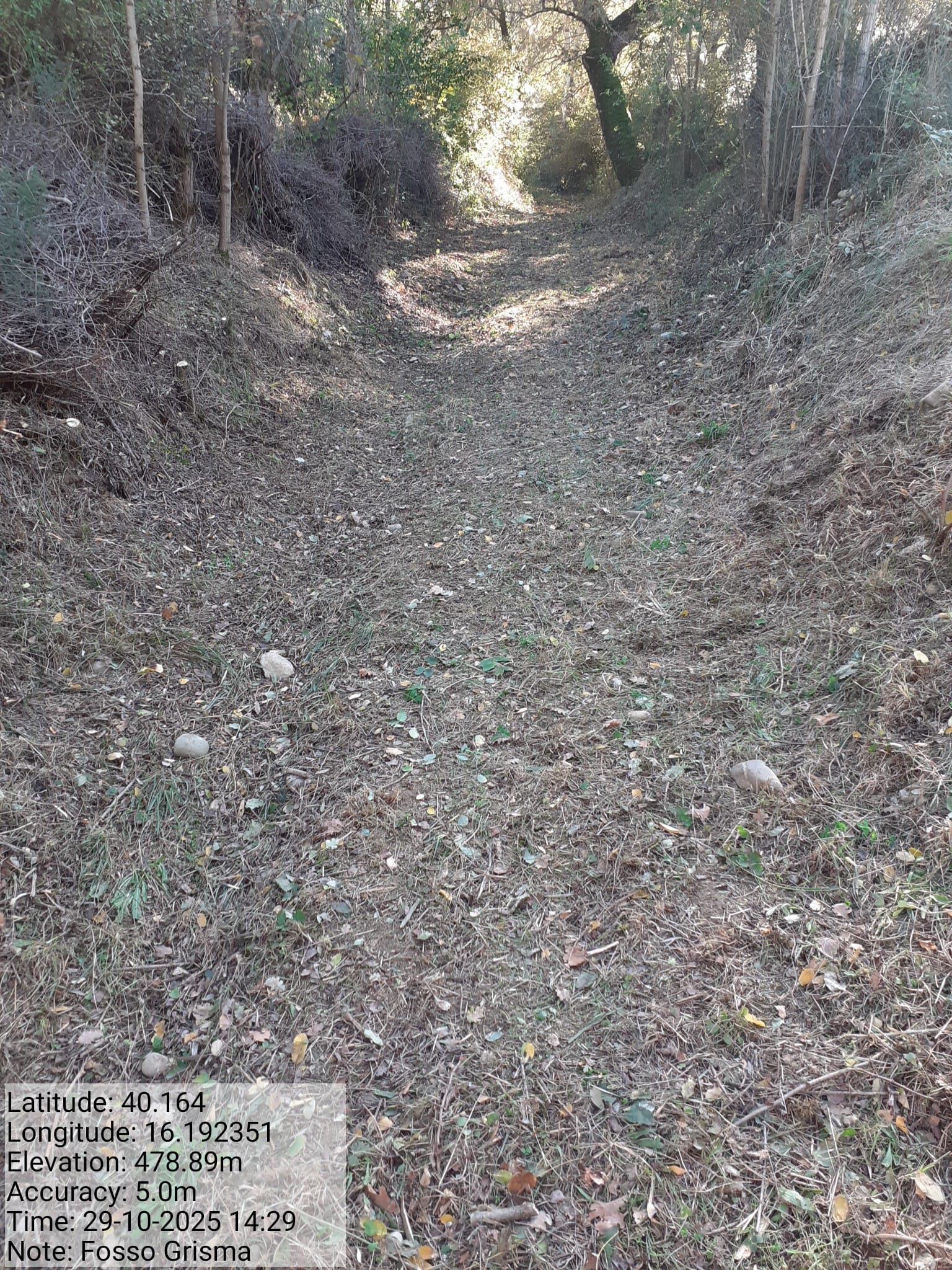 Galleria Fotografica Immagine