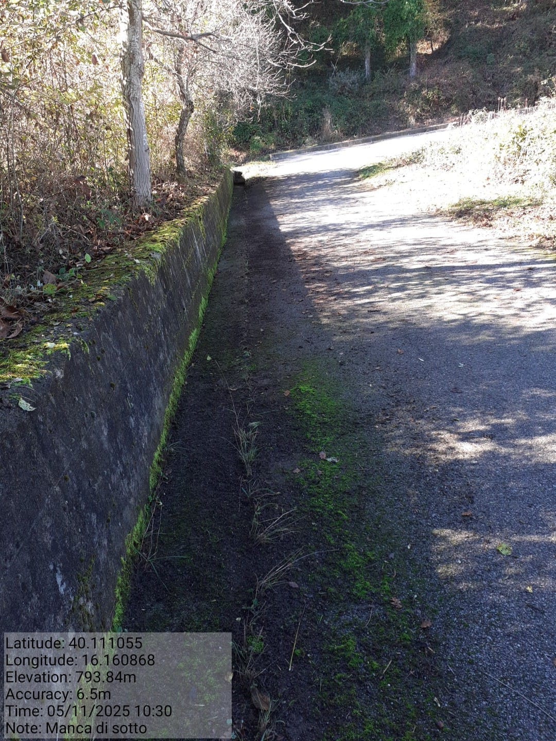 Galleria Fotografica Immagine