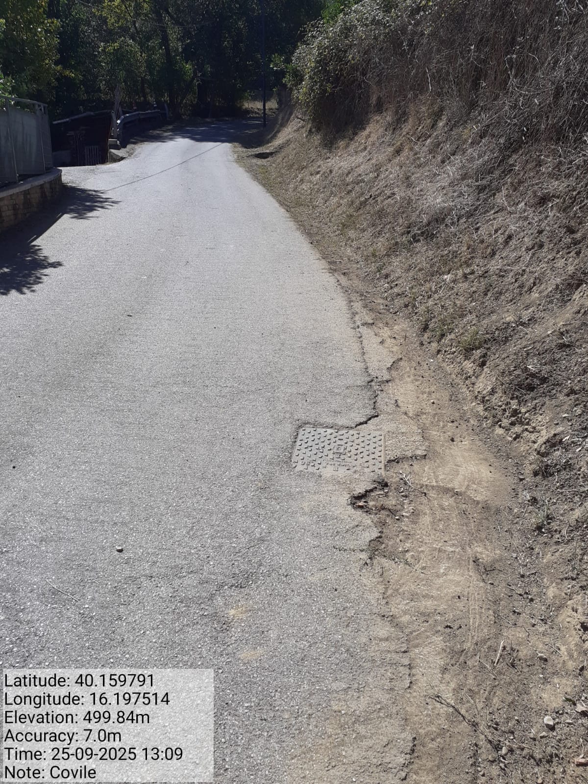 Galleria Fotografica Immagine