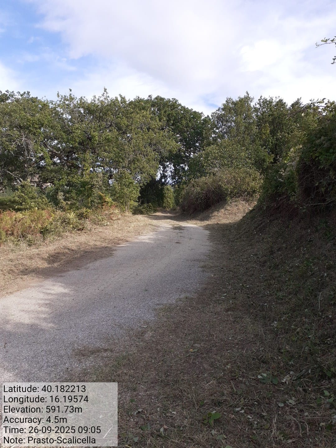 Galleria Fotografica Immagine