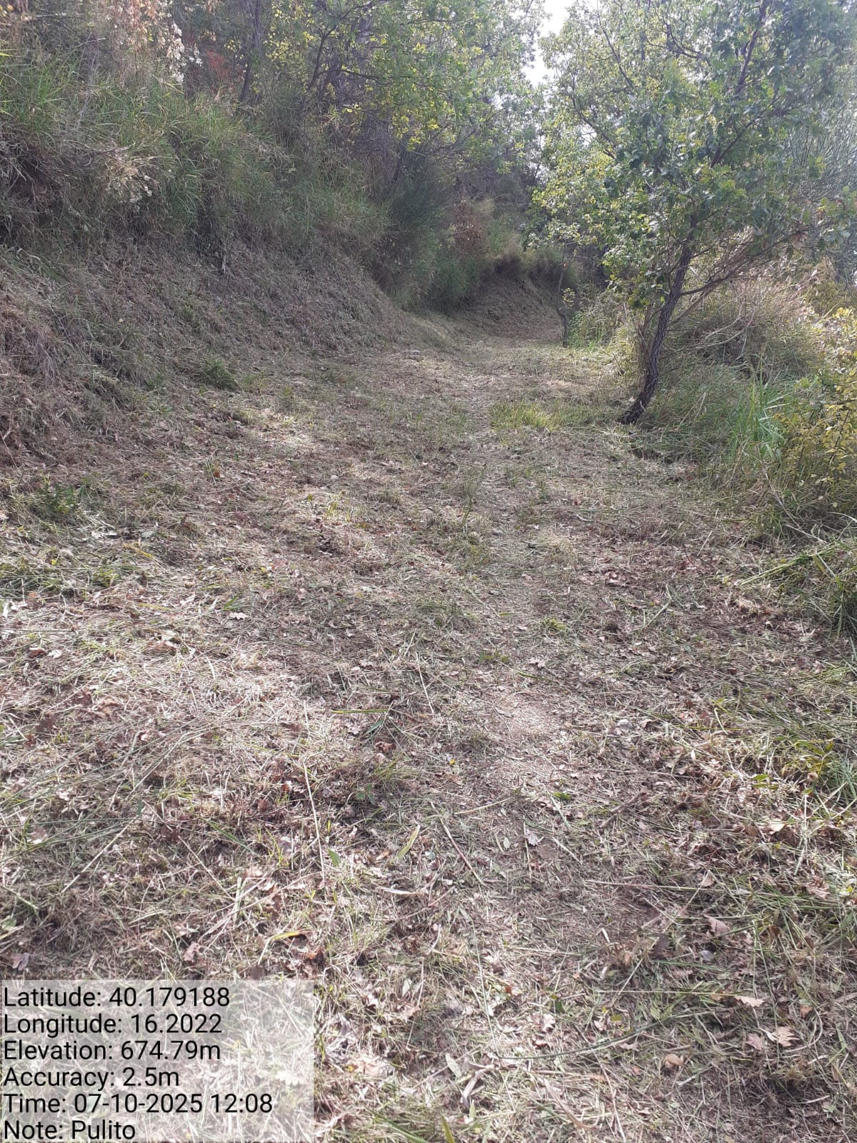 Galleria Fotografica Immagine