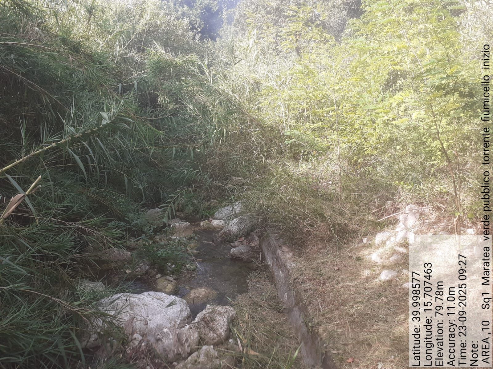 Galleria Fotografica Immagine