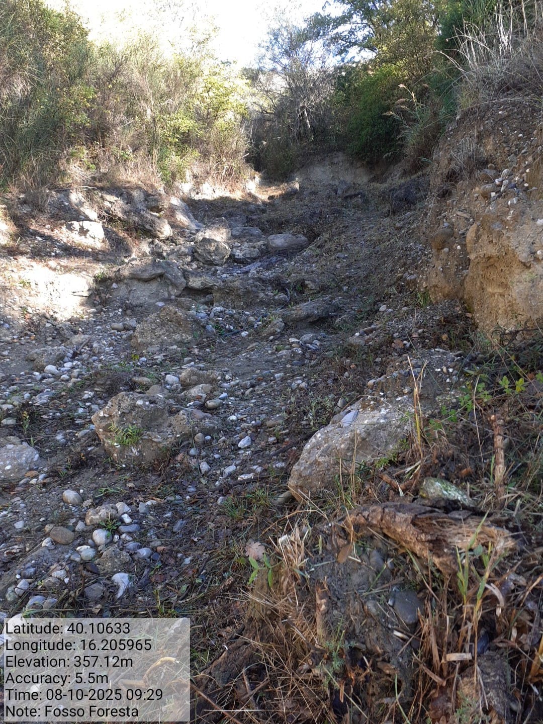 Galleria Fotografica Immagine