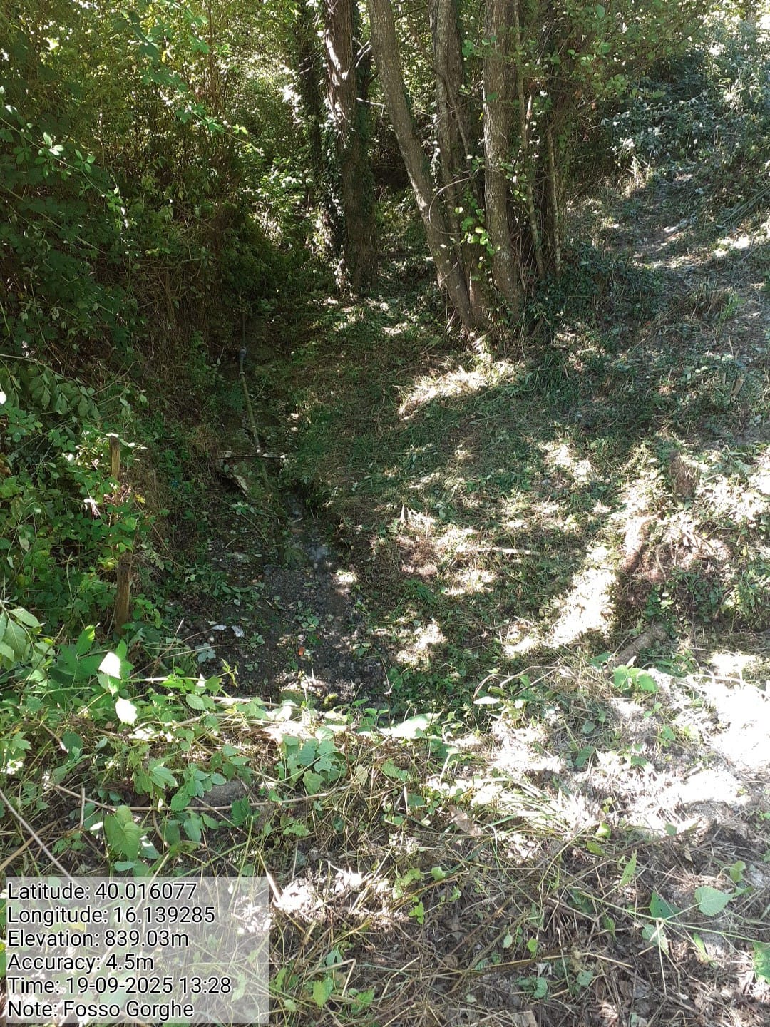 Galleria Fotografica Immagine